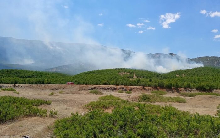 Οικολογική καταστροφή από την Τουρκία: εμπρησμός δασών και κατασκευή νέων σταθμών χωροφυλάκων