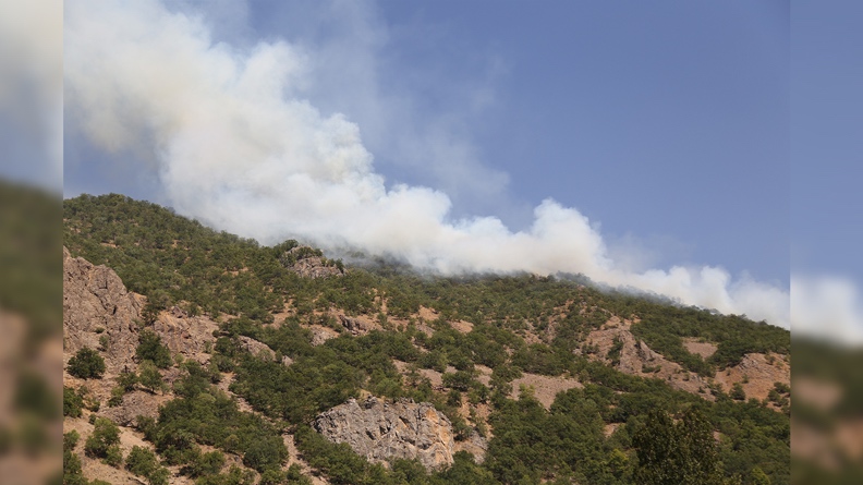 Δασική πυρκαγιά που προκλήθηκε από στρατιωτικές επιχειρήσεις της Τουρκίας, μαινόταν για 13 ημέρες πριν παρέμβουν οι αρχές