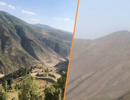 Αρχαία δάση καταστρέφονται στο Ιρακινό Κουρδιστάν λόγω των τουρκικών επιθέσεων