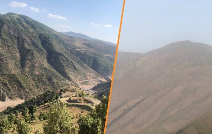 Αρχαία δάση καταστρέφονται στο Ιρακινό Κουρδιστάν λόγω των τουρκικών επιθέσεων