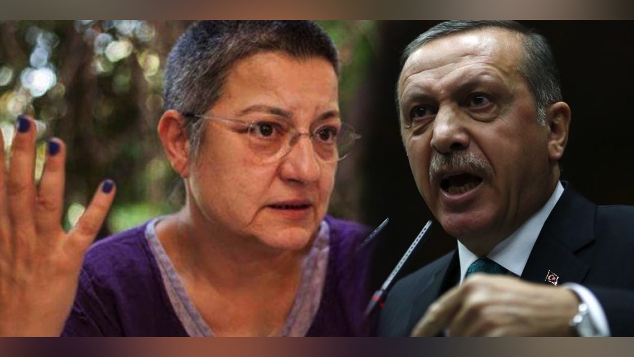 Ο Ερντογάν απορρίπτει τις κατηγορίες για χρήση χημικών όπλων και δηλώνει πως πρόκειται για προπαγάνδα εναντίον του τουρκικού στρατού