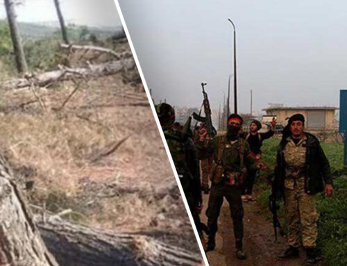 Τζιχαντιστές που υποστηρίζονται από την Τουρκία συνεχίζουν να κόβουν δέντρα στο Αφρίν της Συρίας