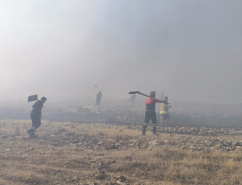 Πυρκαγιά στην ύπαιθρο Nusaybin απειλεί 14 χωριά