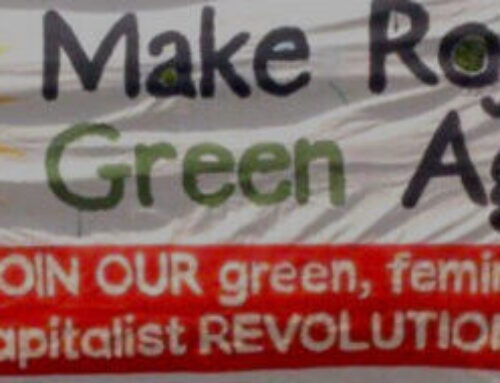 Make Rojava Green Again launches urgent call to stop Turkey’s ongoing ecocide in Kurdistan