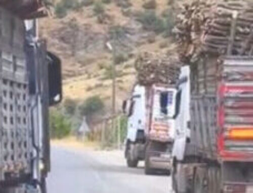 Turkish forces accused of illegal deforestation in Iraqi Kurdistan