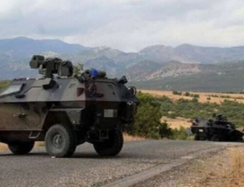 Military operation in Van countryside