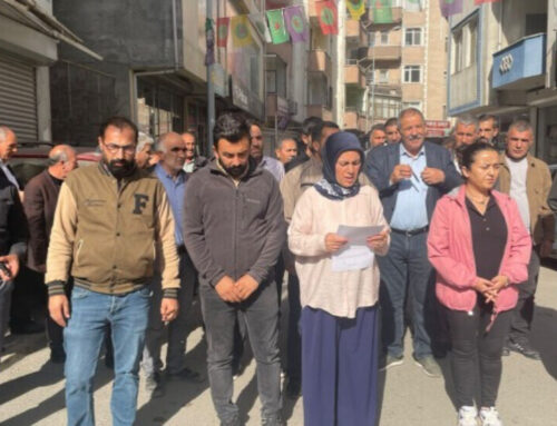 Eight people including DEM Party provincial co-chair detained in Iğdır