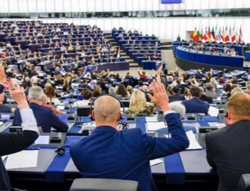 MEPs: Öcalan’s call and the PKK’s ceasefire bring a historic opportunity for peace and democracy