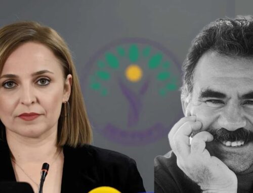 Pro-Kurdish DEM Party mobilises nationwide after Öcalan’s call